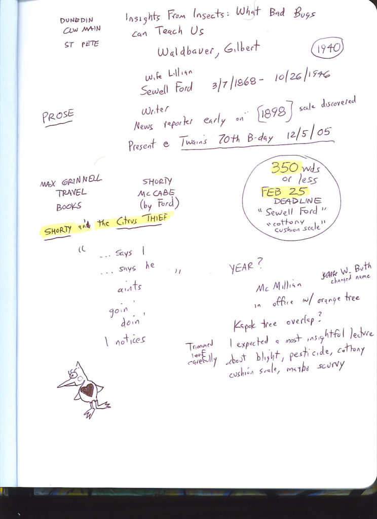 Shorty Scratch Paper